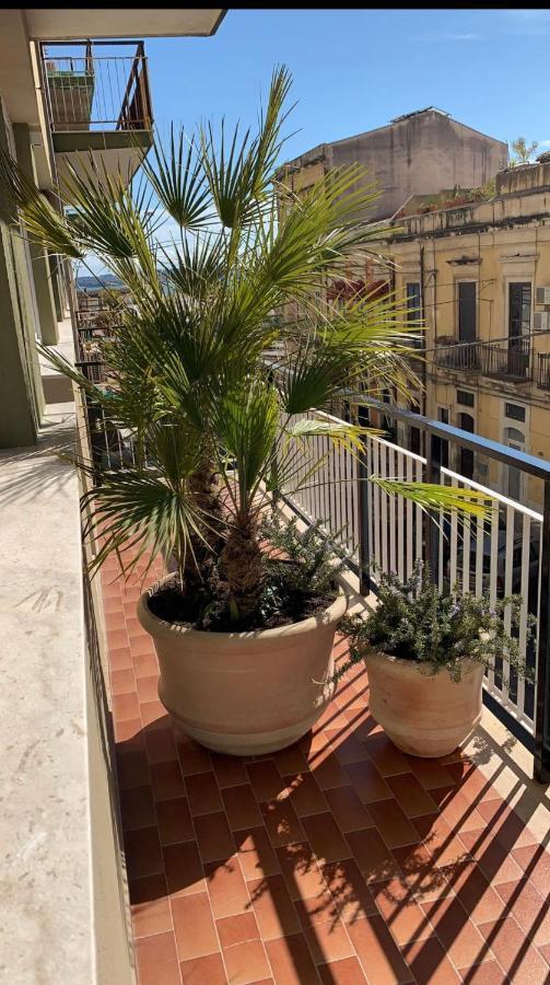 Near Ortigia Allotjament i esmorzar